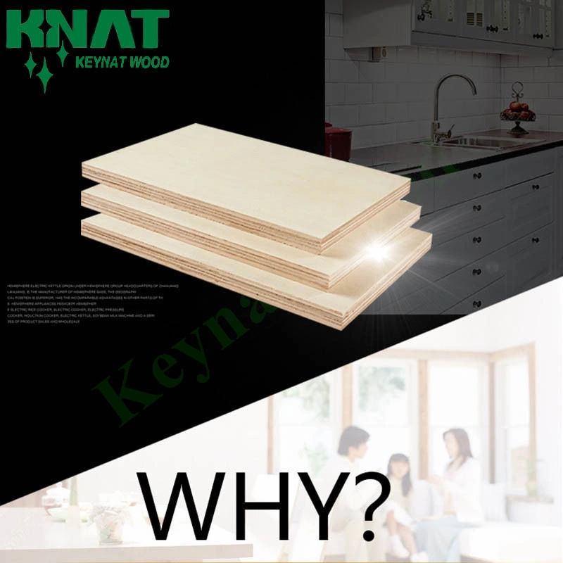 Strong and Durable Furniture Board Melamine Faced Plywood